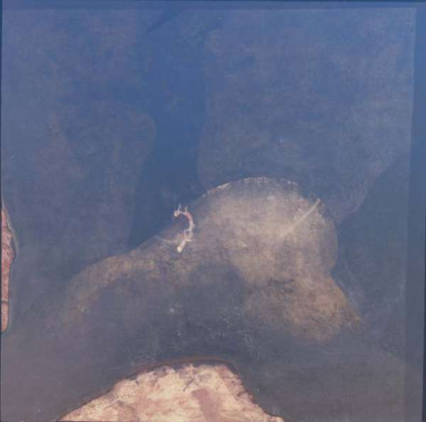 Abbildung des Objekts Cráneo